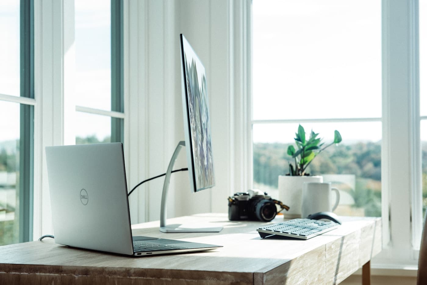 Dedicated Desks — Altura Workspaces, Terminal One